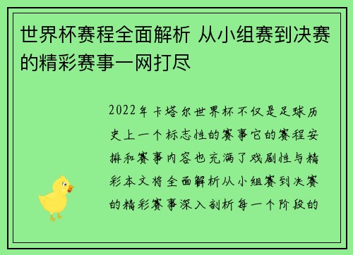 世界杯赛程全面解析 从小组赛到决赛的精彩赛事一网打尽