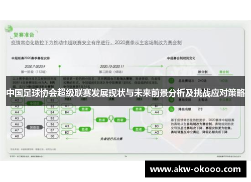 中国足球协会超级联赛发展现状与未来前景分析及挑战应对策略