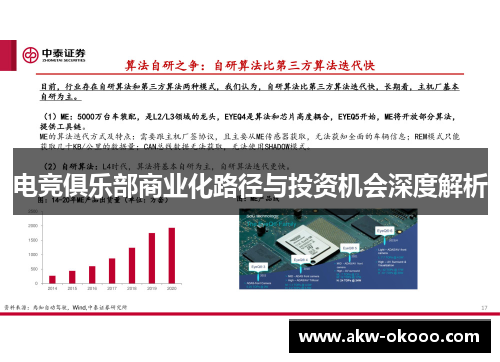 电竞俱乐部商业化路径与投资机会深度解析
