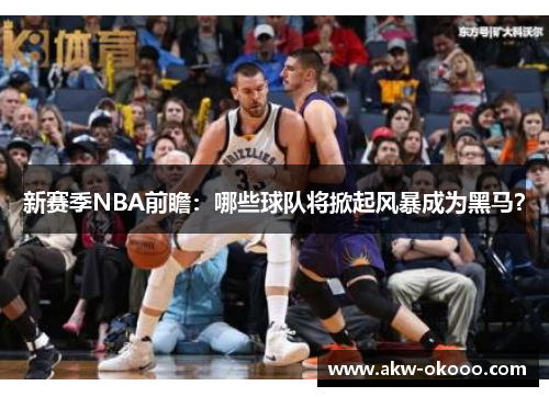 新赛季NBA前瞻：哪些球队将掀起风暴成为黑马？